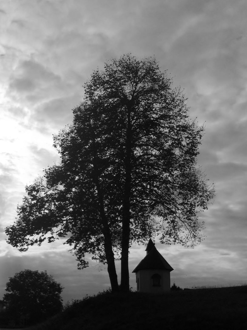 Herbstrad08_s
