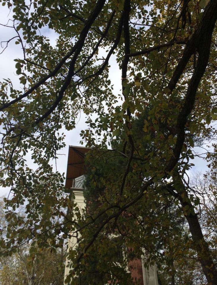 Rettenbach03_s