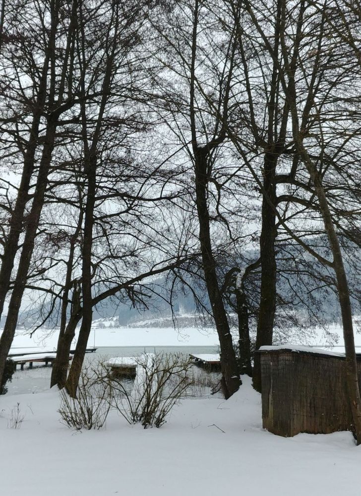 Linzerradlteig_s