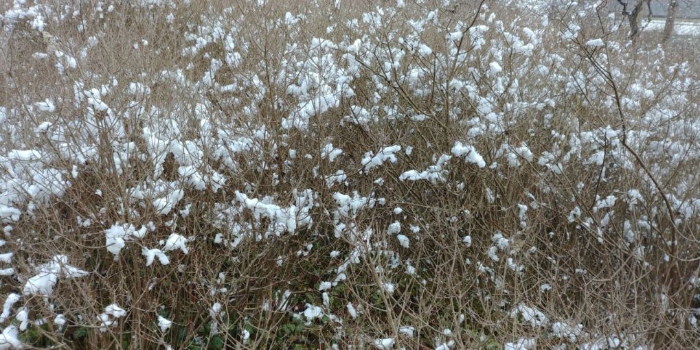 Wintersonne04_s